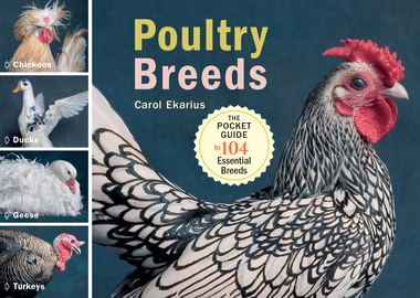 Poultry Breeds Pocket Guide